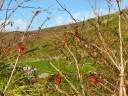 Bild 157 von 160
